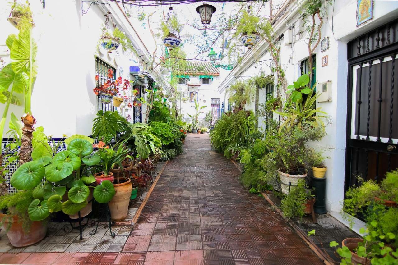 Misterhost Triana Patio De Las Flores Sevilla Exterior foto